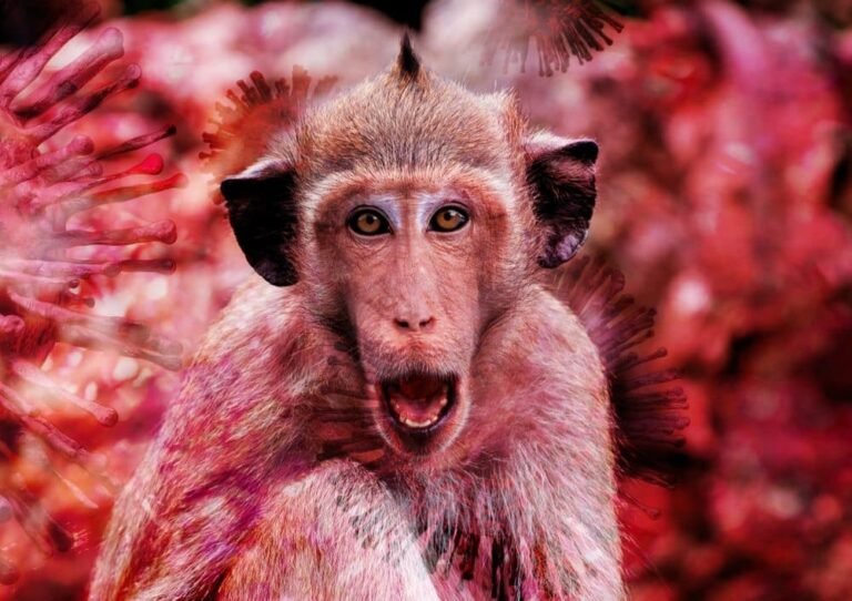 Mpox ou variole du singe